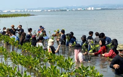 Growing Concern for the Natural Environment Through “Mangroves for Future 2022”