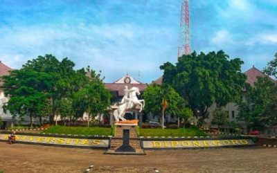 Job Vacancies as Lecturer Candidates for Permanent Employees at Universitas Diponegoro (CPTU Non-ASN) in 2023