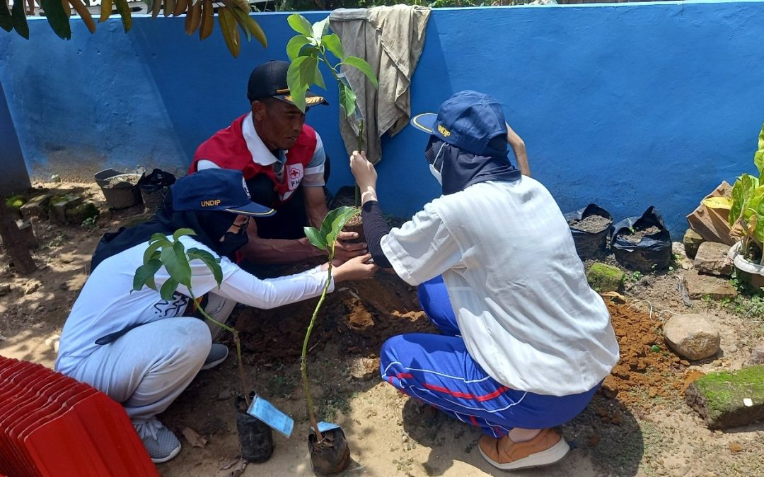 Tree Planting in Candimulyo Village by Bachelor of Public Administration Students of Rembang Campus